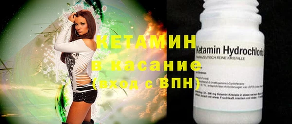прущие грибы Верея