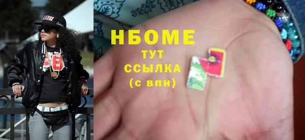 прущие грибы Верея