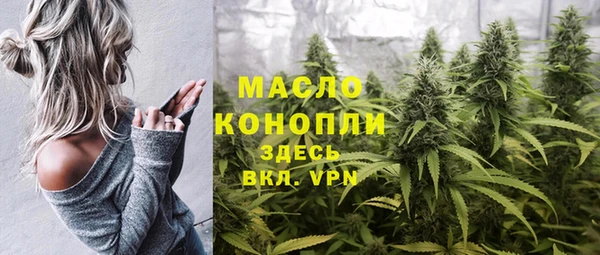 молекула духа Верхний Тагил