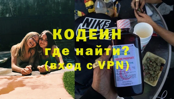 прущие грибы Верея