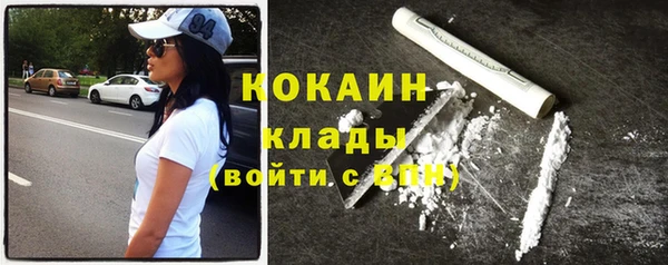 прущие грибы Верея