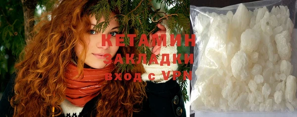 прущие грибы Верея