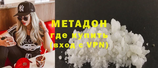 прущие грибы Верея